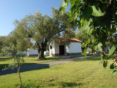 Casetta bianca con tetto rosso tra ulivi e prato verde.